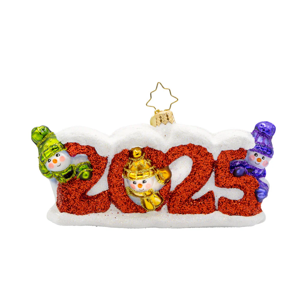 2025 Snow Day - Image 2