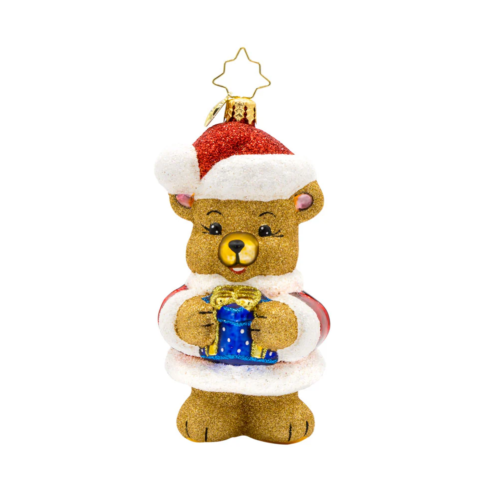 Bear-y Special Present - Image 3