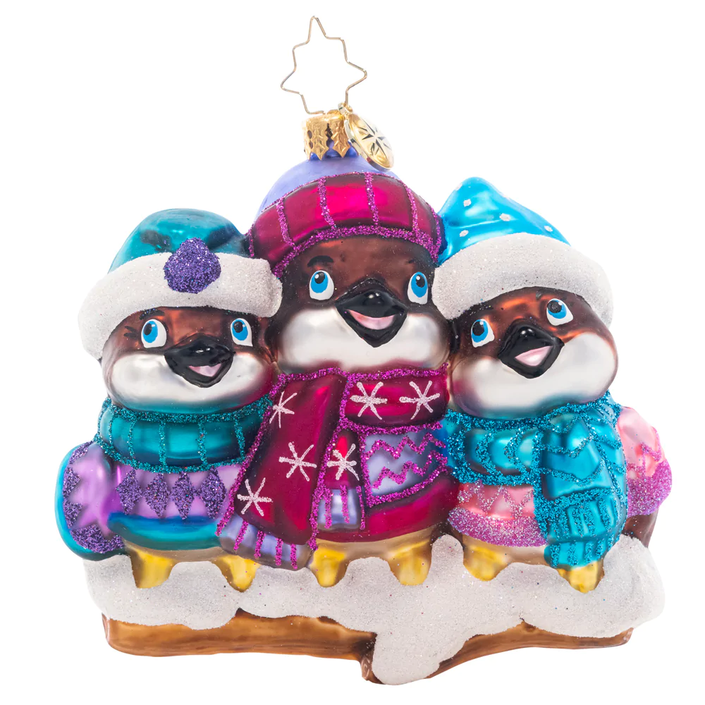 Bundled Up Birdies - Image 2