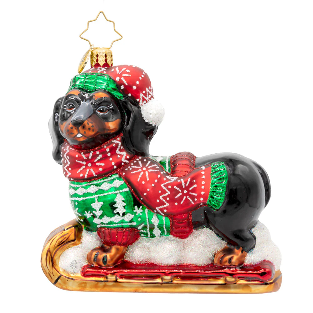 Dapper Dachshund - Image 3