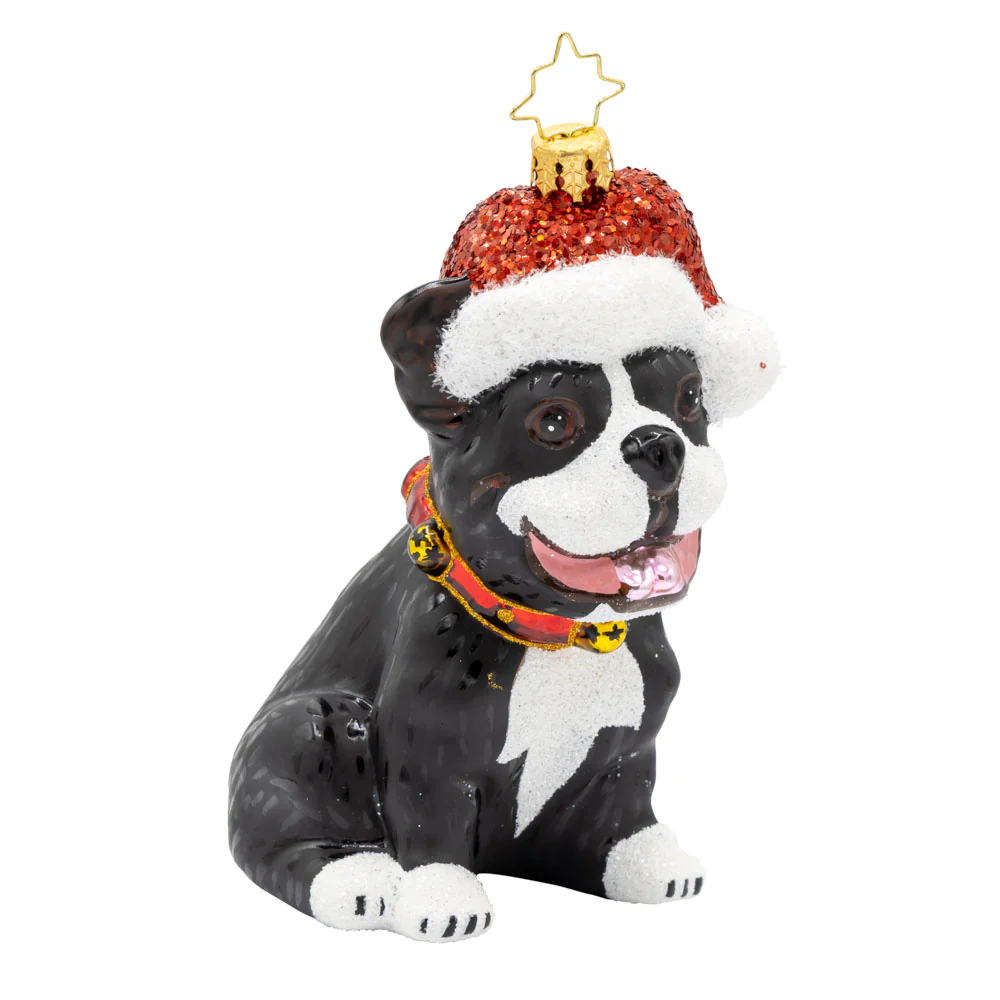 Frenchie the Friend - Image 3