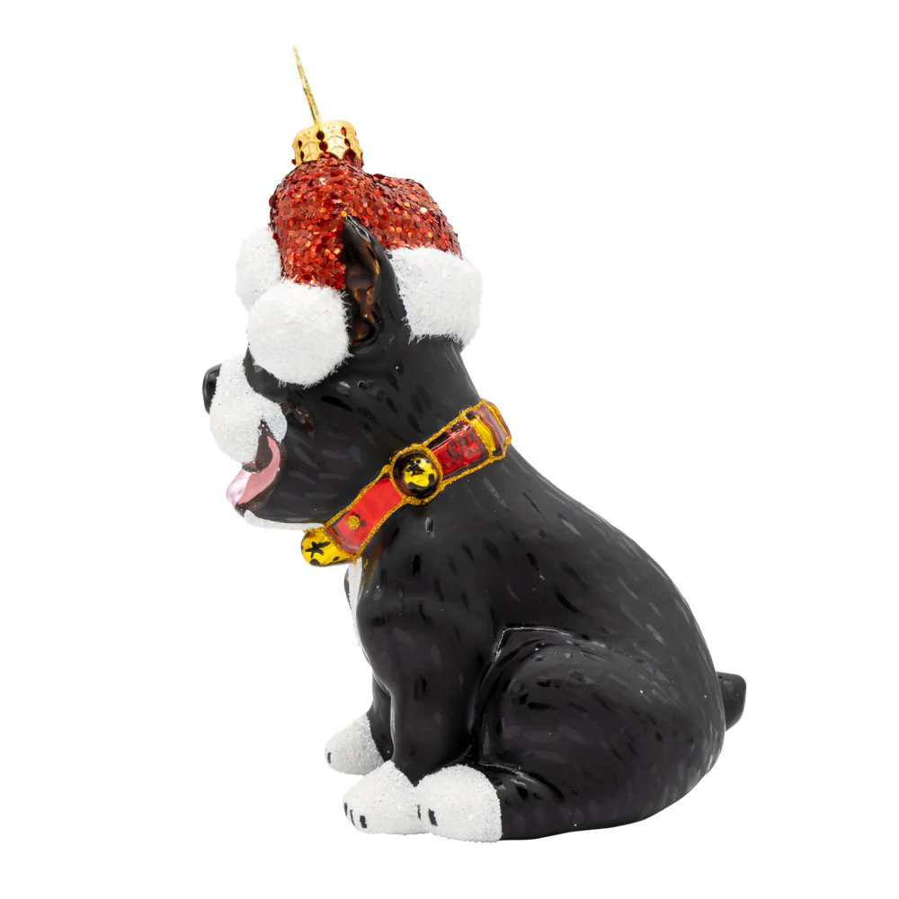 Frenchie the Friend - Image 5