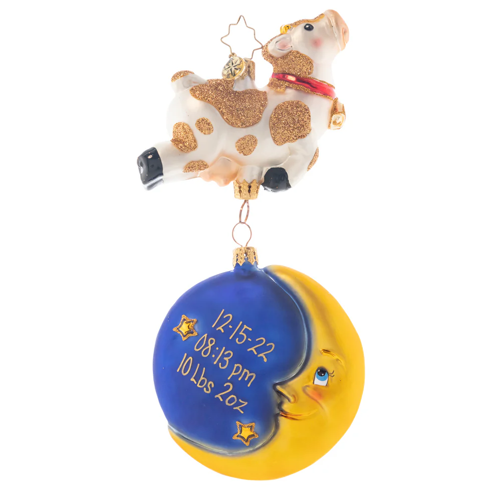 Hey, Diddle! Personalized - Image 3