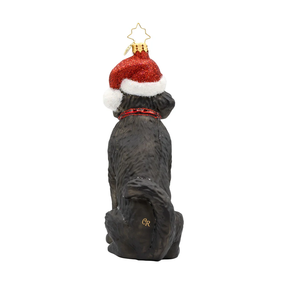 Loyal Lab - Image 4