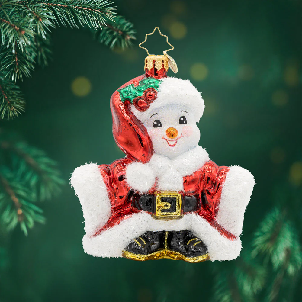 Santas Snowy Stand-In