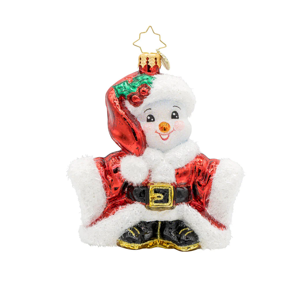 Santas Snowy Stand-In - Image 2