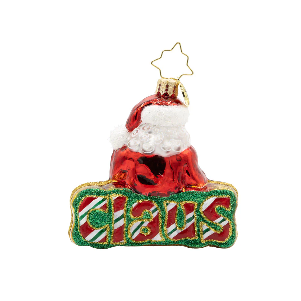 What’s in A Name Santa Gem - Image 2